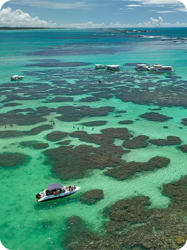Outra vista das piscinas naturais de Maragogi
